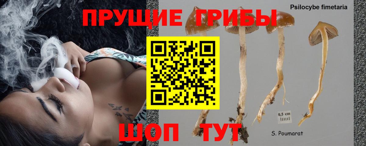 Галлюциногенные грибы GOLDEN TEACHER  Псилоцибиновые грибы мицелий  Учалы  Вход с VPN 